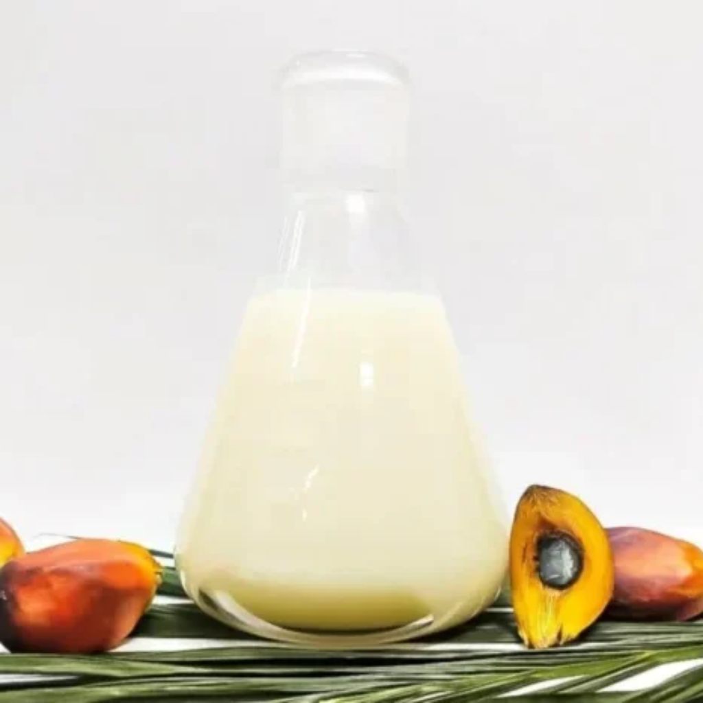 crude-palm-stearin