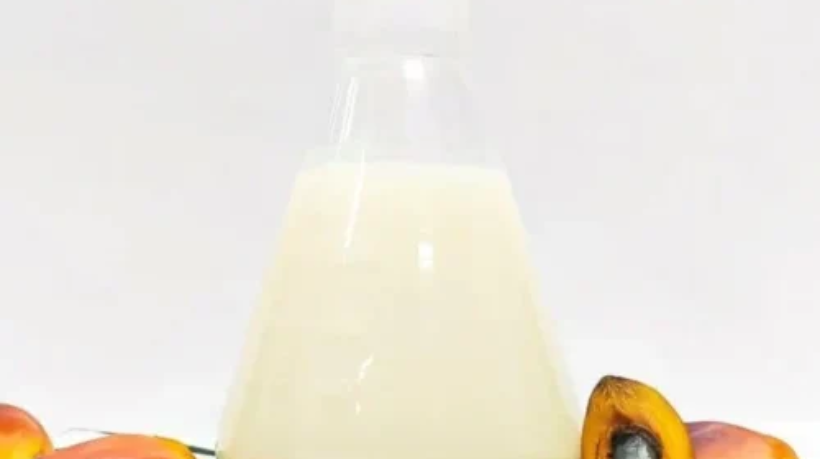 crude-palm-stearin