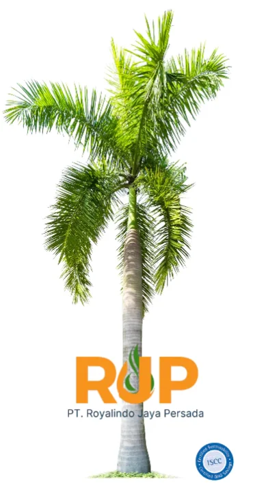 rjp 7